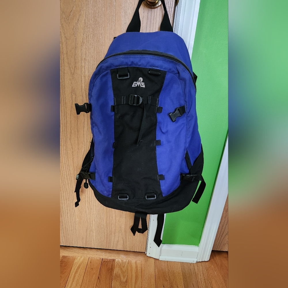 Blue and Black Backpack